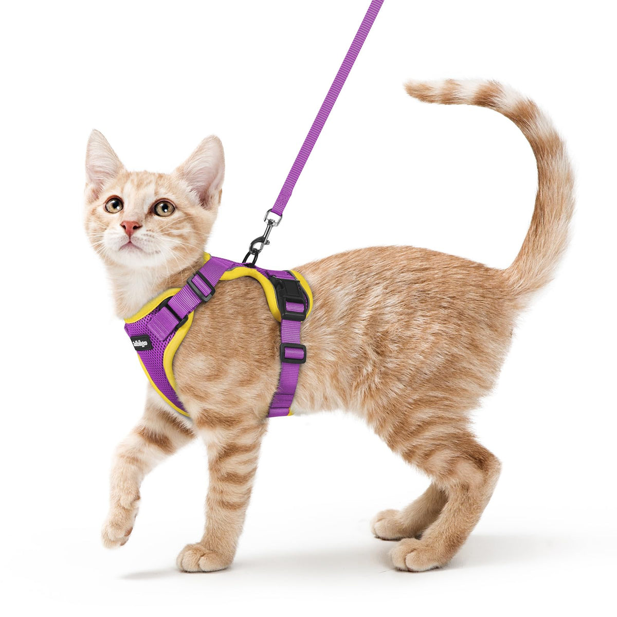 rabbitgoo Cat Harness and Leash Set, Escape Proof Vest, Black