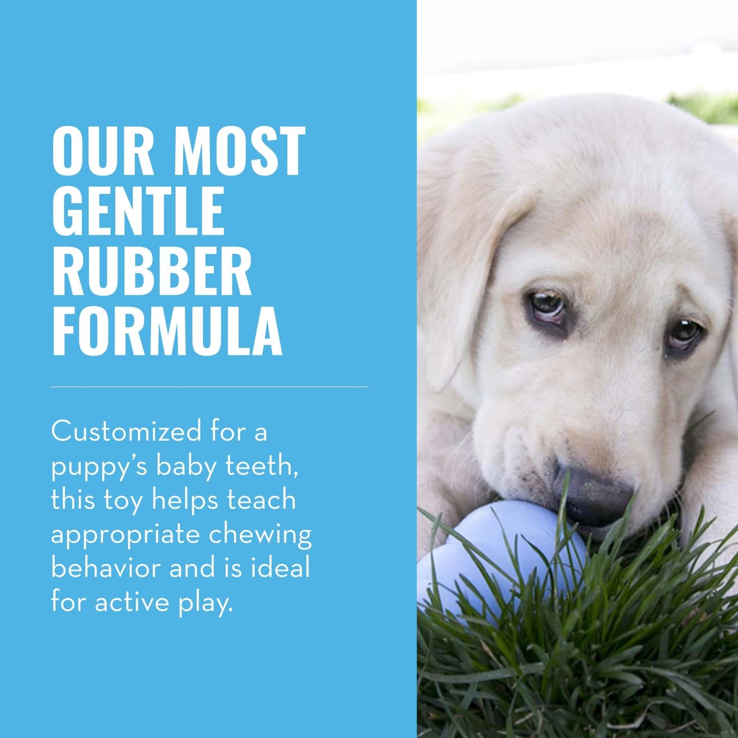 KONG Puppy, Natural Rubber Teething Chew Toy, for Small Puppies, Blue