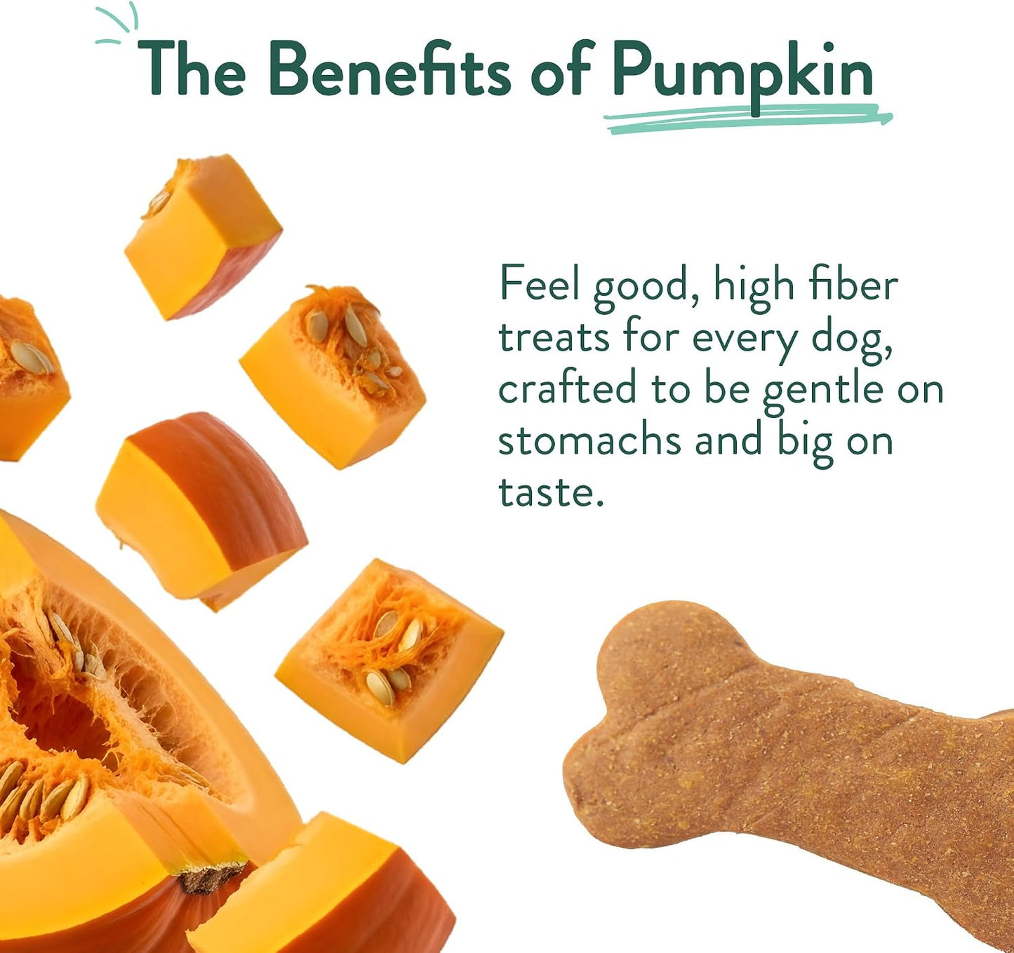 Portland Pet Food Pumpkin Dog Treats - Healthy, Grain-Free Biscuits, 5 oz