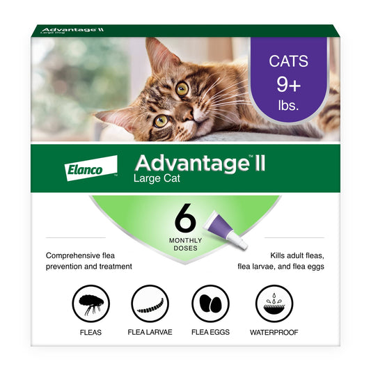 Advantage II Large Cat Topical Flea Treatment & Prevention, 4ct