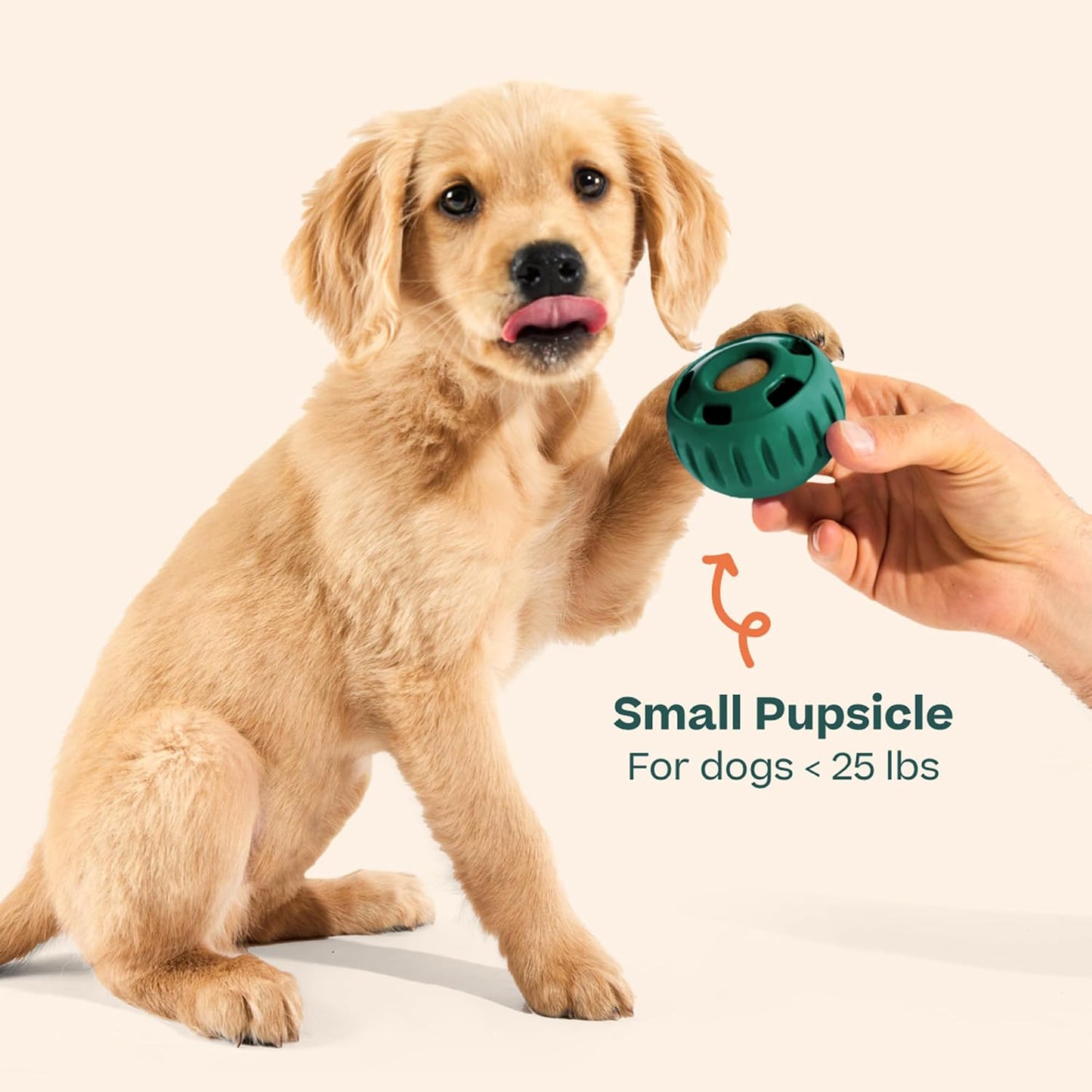 WOOF Pupsicle Interactive Dog Ball Toy for Dogs 25-75 lbs - Green