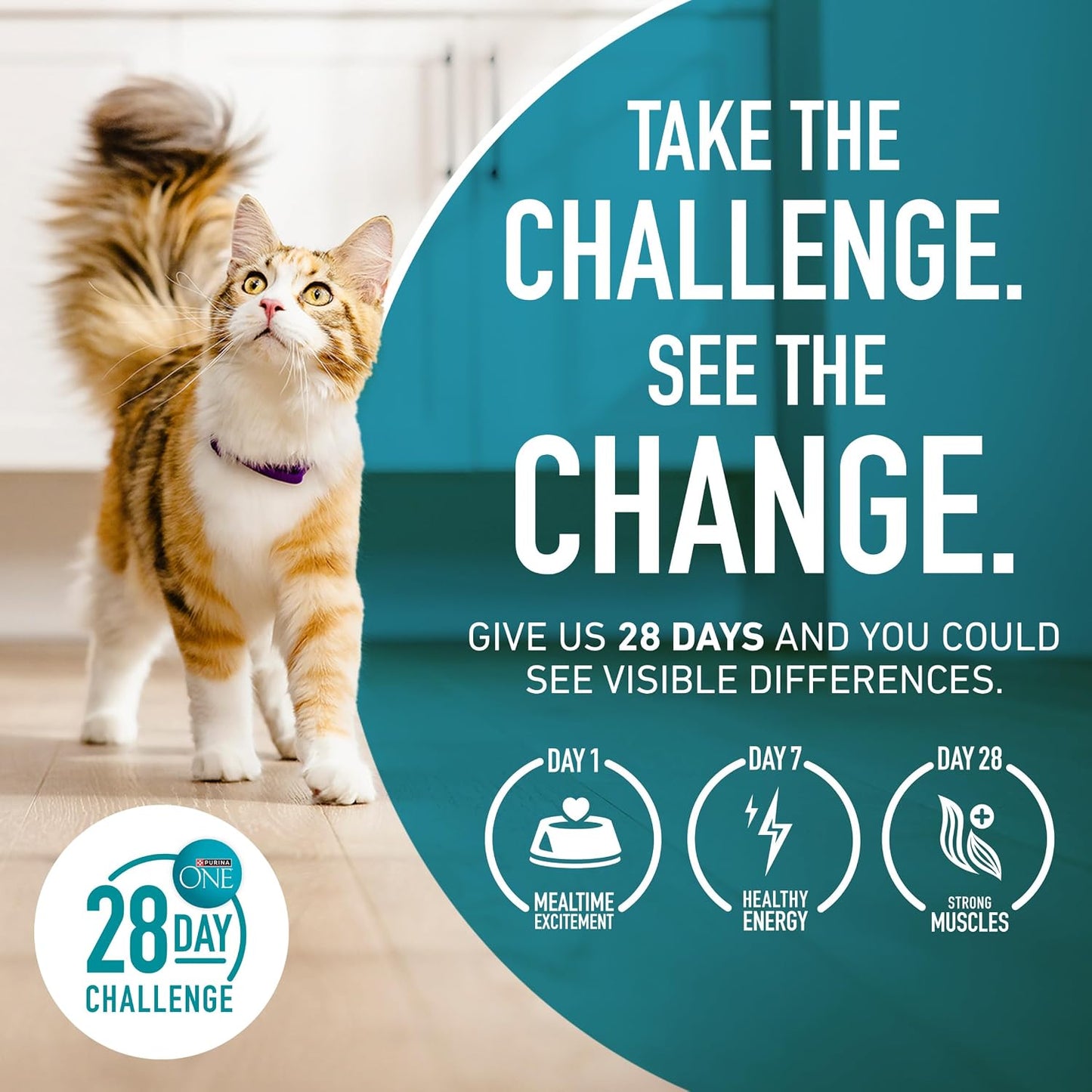 Purina ONE Natural Indoor Dry Cat Food, +Plus Indoor Advantage