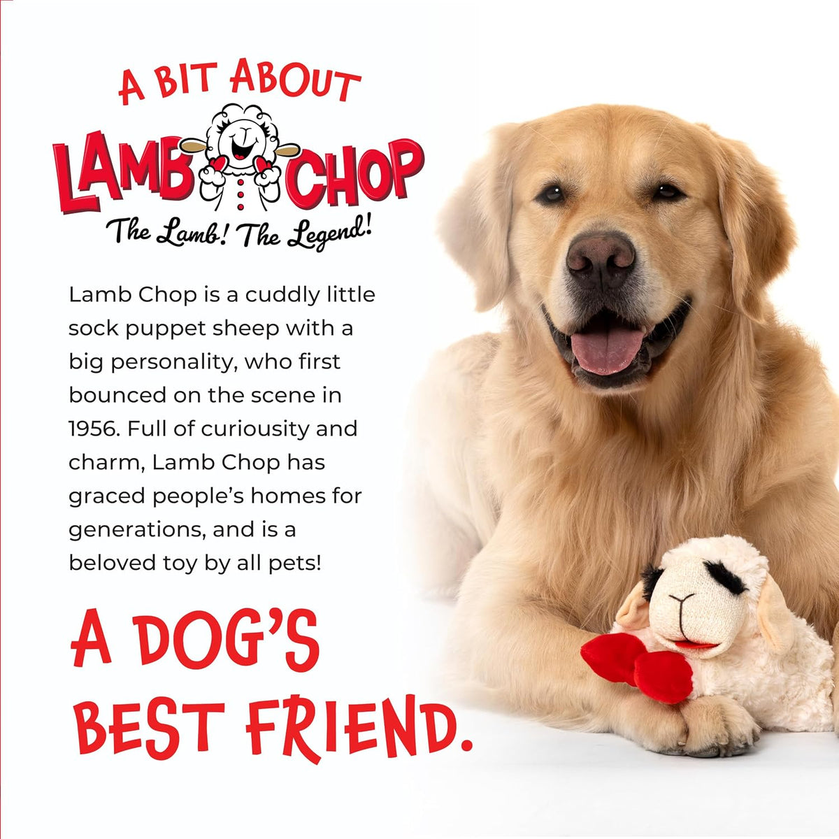 Multipet Lamb Chop Dog Plush Toy - Squeaky Toy