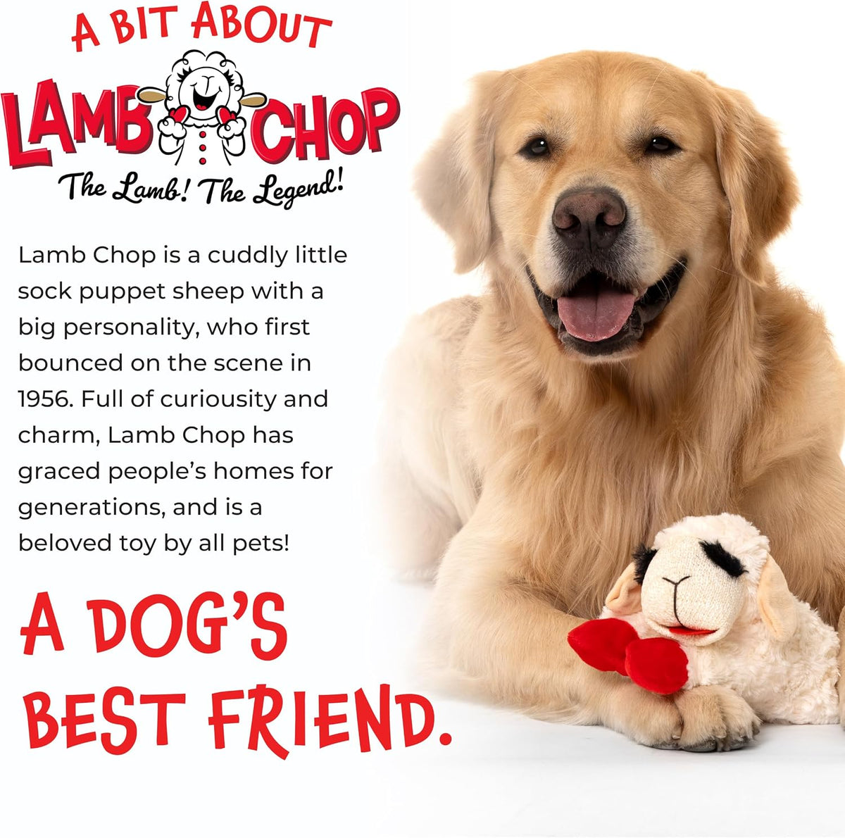 Multipet Lamb Chop Dog Plush Toy 10", Cream, 5 Squeakers