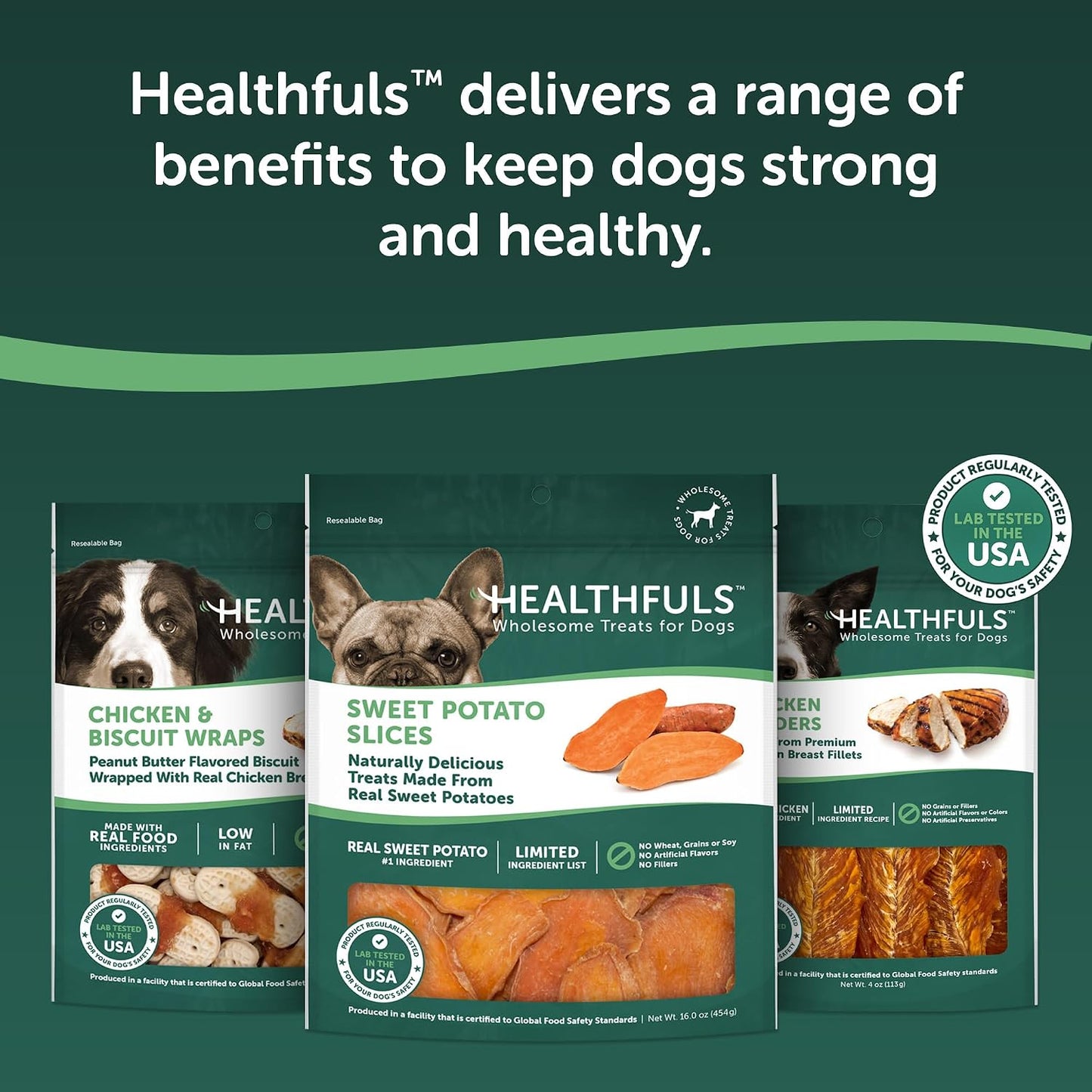 HEALTHFULS Real Dried Sweet Potato Slices, Grain Free Dog Treats, 16 oz