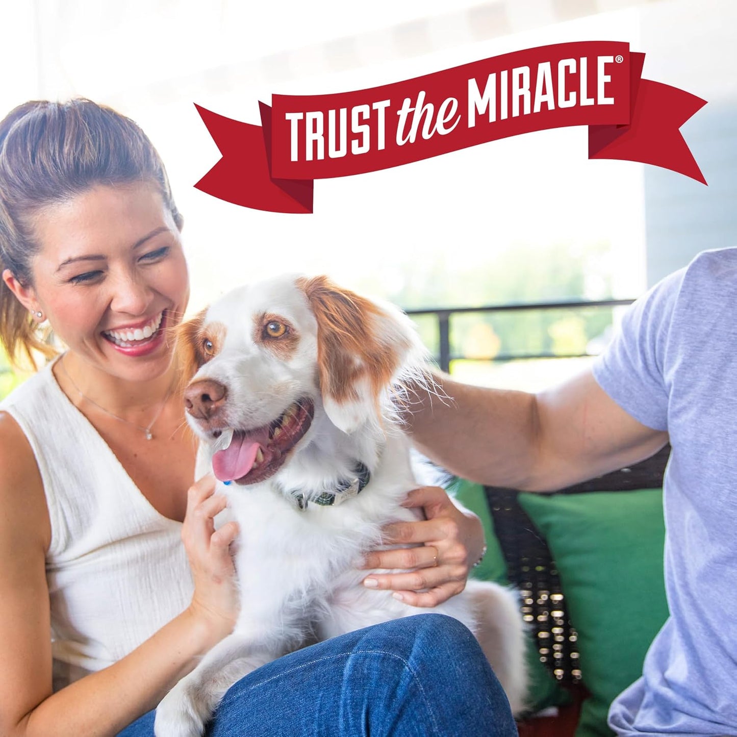 Nature’s Miracle Dog Stain & Odor Remover, Enzymatic Cleaner, 32 oz