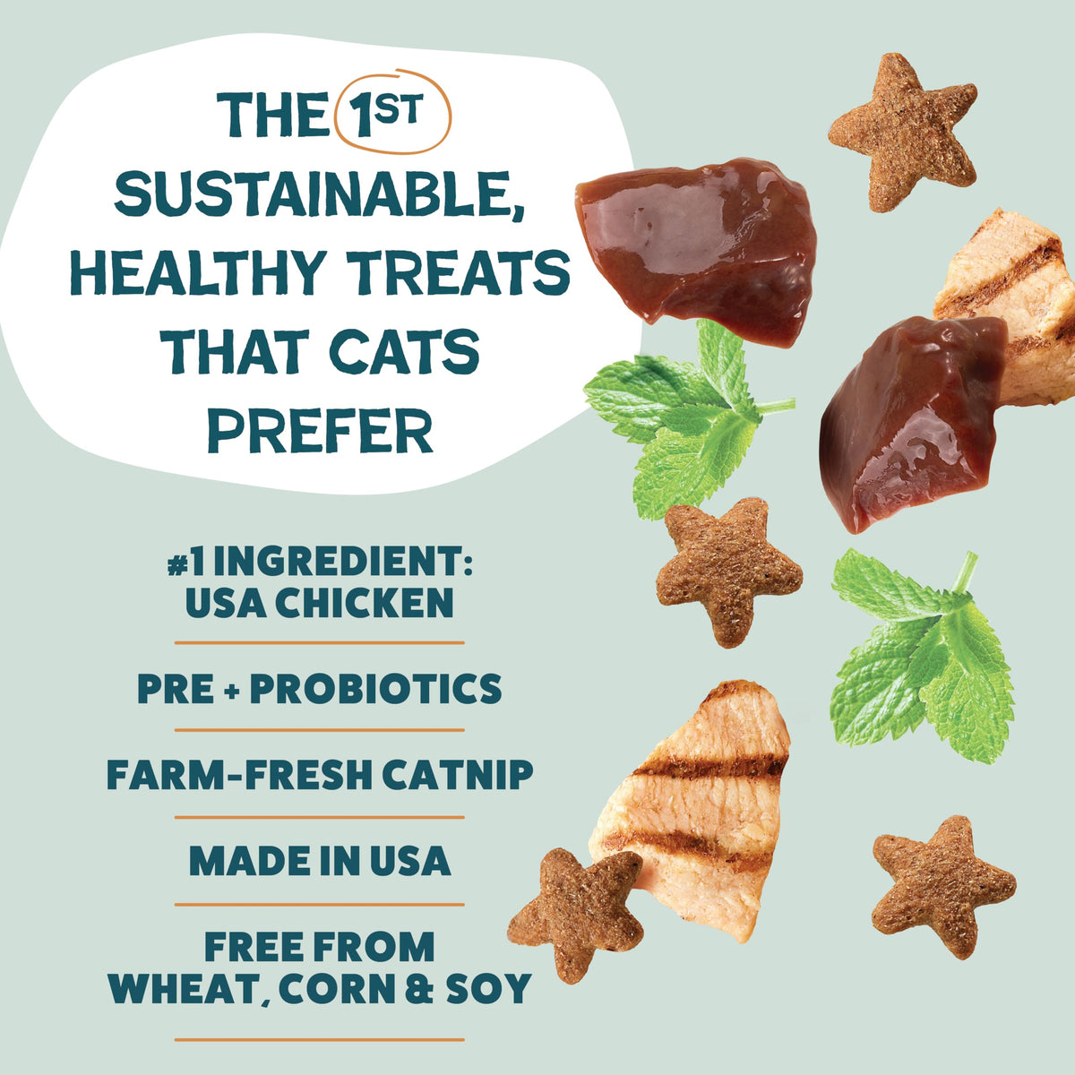 Shameless Pets Catnip N Chill Crunchy Cat Treats, 12 oz