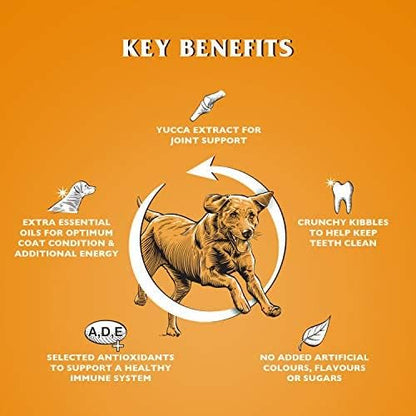 Dr John Gold Dry Dog Food 15kg - Chicken & Vegetables Complete Dog Food - High Energy Adult & Senior Dog Food for Active & Working Dogs - Balanced Daily Nutrition