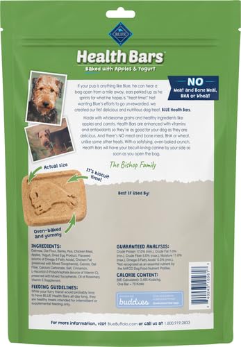 Blue Buffalo Health Bars Pumpkin & Cinnamon Dog Biscuits, 16 oz