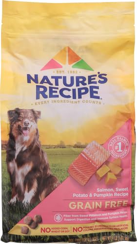 Nature's Recipe Grain Free Salmon Dry Dog Food, 4 lb. Bag