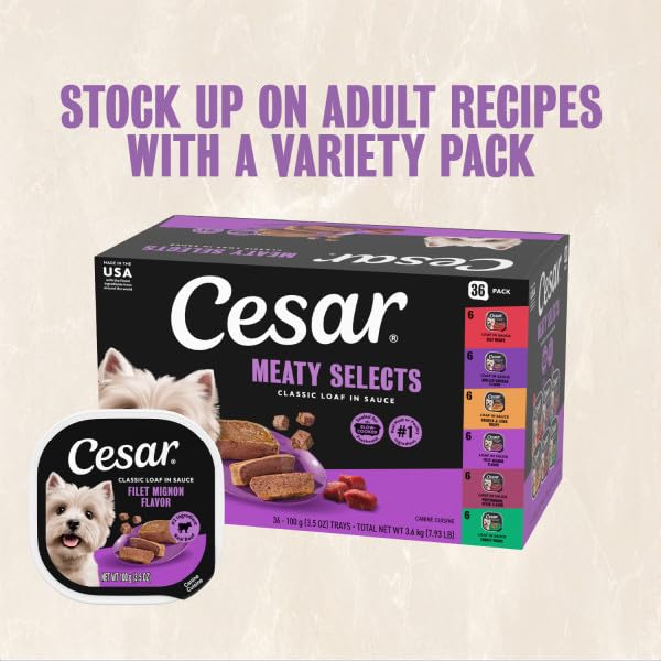 Cesar Classic Loaf Wet Dog Food, Breakfast Selects, 3.5 oz, 12 Count, 2-pk