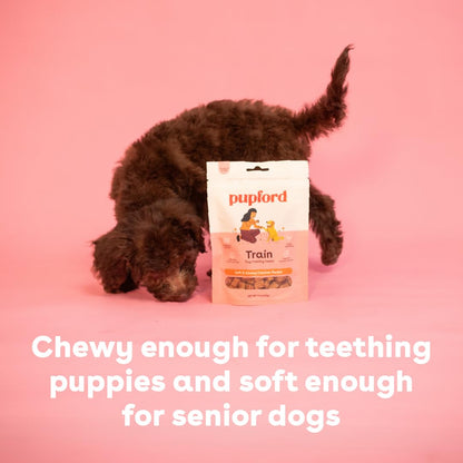Pupford Soft & Chewy Training Treats for Dogs & Puppies (Chicken, 10 oz, 2 Pack)