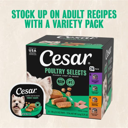 Cesar Classic Loaf in Sauce Wet Dog Food, Meaty Selects, 3.5 oz, 36 Count