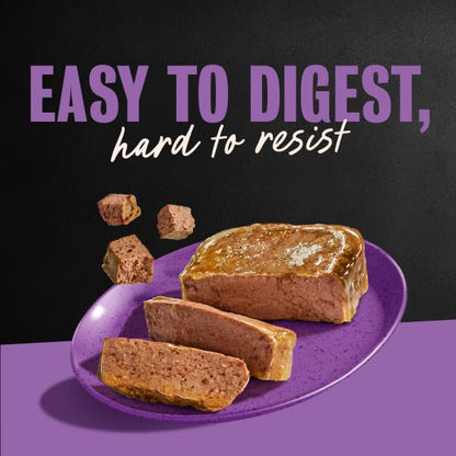 Cesar Classic Loaf Wet Dog Food, Breakfast Selects, 3.5 oz, 12 Count, 2-pk
