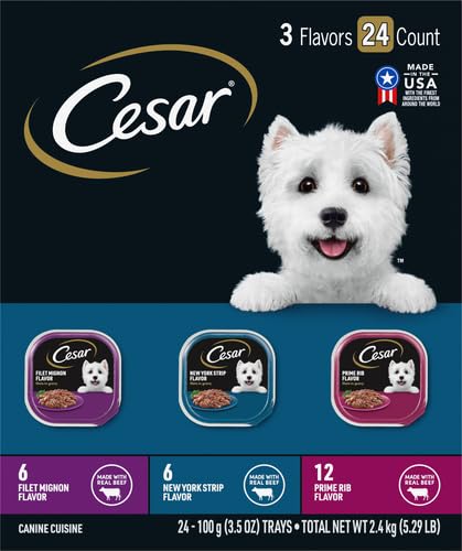 Cesar Filets in Gravy Wet Dog Food, Steak Mix Variety, 3.5 oz, 24 Count