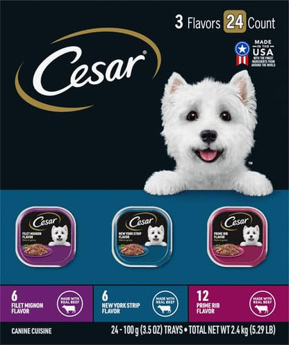 Cesar Filets in Gravy Wet Dog Food, Steak Mix Variety, 3.5 oz, 24 Count