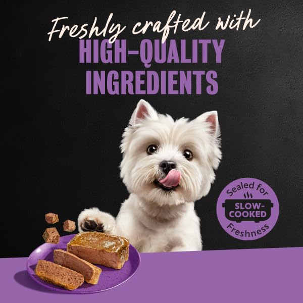 Cesar Classic Loaf Wet Dog Food, Breakfast Selects, 3.5 oz, 12 Count, 2-pk
