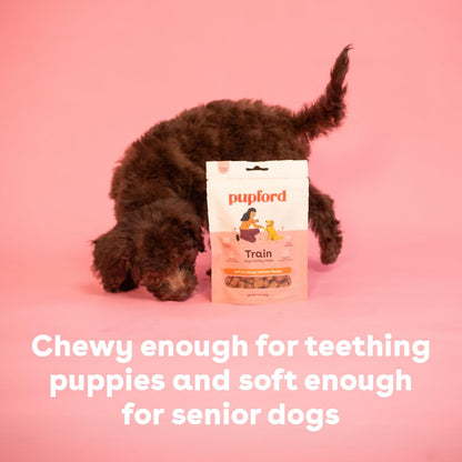 Pupford Soft & Chewy Training Treats for Dogs & Puppies (Chicken, 10 oz, 2 Pack)