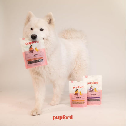 Pupford Soft & Chewy Training Treats for Dogs & Puppies (Lamb, 5 oz)