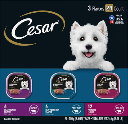 Cesar Filets in Gravy Wet Dog Food, Steak Mix Variety, 3.5 oz, 24 Count