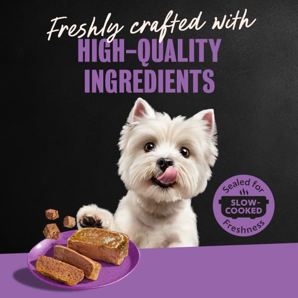 Cesar Classic Loaf in Sauce Wet Dog Food, Meaty Selects, 3.5 oz, 36 Count