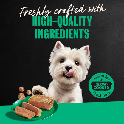 Cesar Classic Loaf in Sauce Wet Dog Food, Meaty Selects, 3.5 oz, 36 Count