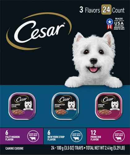 Cesar Filets in Gravy Wet Dog Food, Steak Mix Variety, 3.5 oz, 24 Count