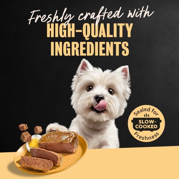 Cesar Breakfast & Dinner Variety Pack Wet Dog Food, 3.5 oz, 24 Count