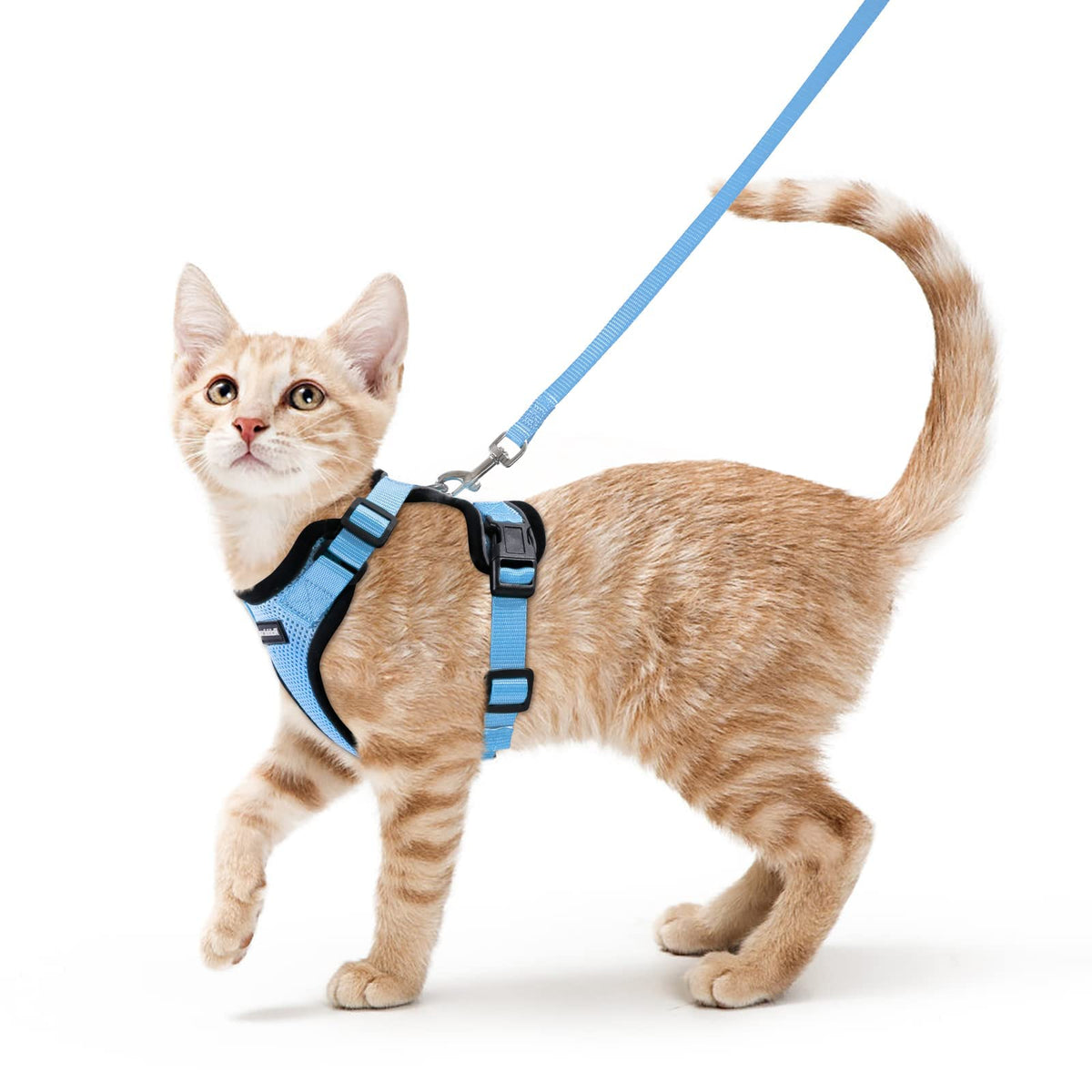 rabbitgoo Cat Harness and Leash Set, Escape Proof Vest, Emerald