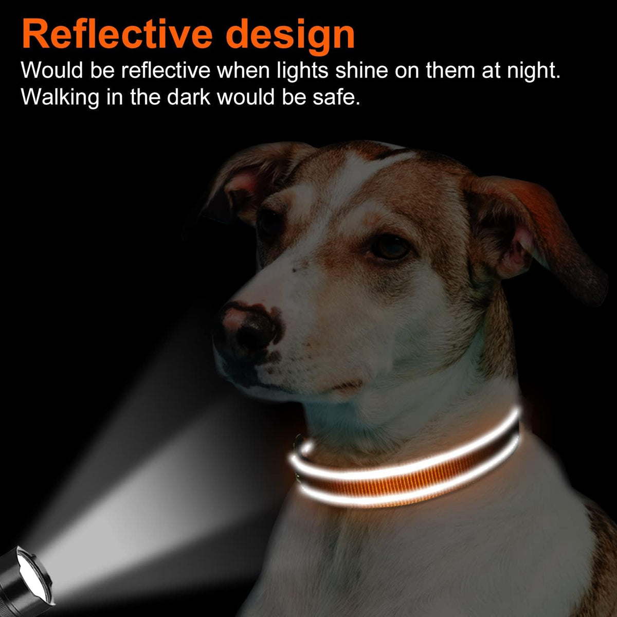 Joytale Reflective Dog Collar, Adjustable Neoprene Padded, Teal M