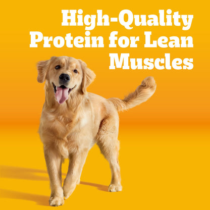 Pedigree Complete Nutrition Dry Dog Food, Steak & Vegetable, 18 lb