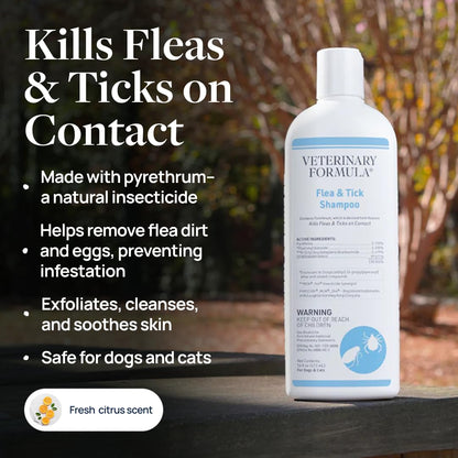 Veterinary Formula Flea & Tick Spray for Dogs, 8 oz, Kills on Contact