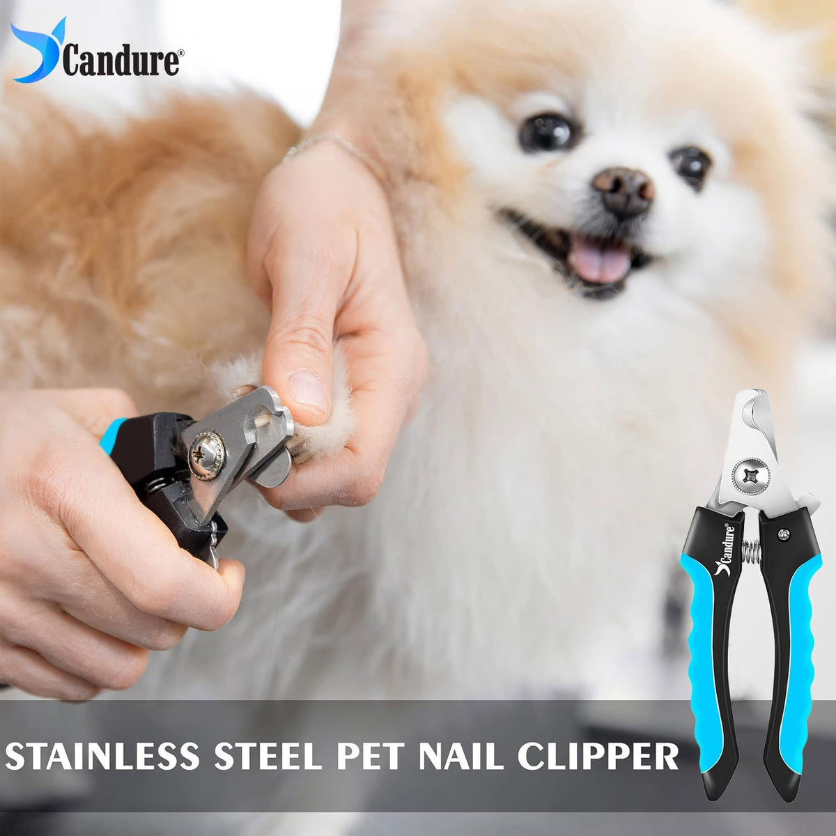 Candure Cat Nail Clippers for Indoor Cats, Rabbits, Hamsters, Birds with Precise Angled Edges to Ensure Easy & Safe Trimming Stainless Steel Cat Nail Trimmer for At-Home Cat Grooming