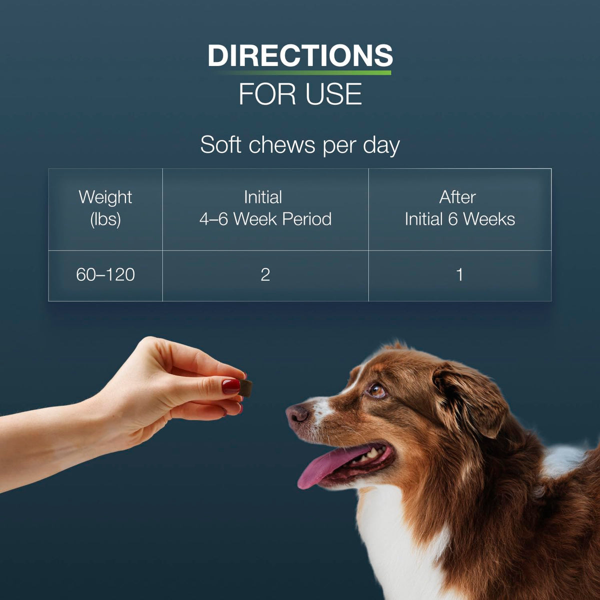 Nutramax Dasuquin MSM Joint Supplement for Large Dogs, Soft Chews, 84ct
