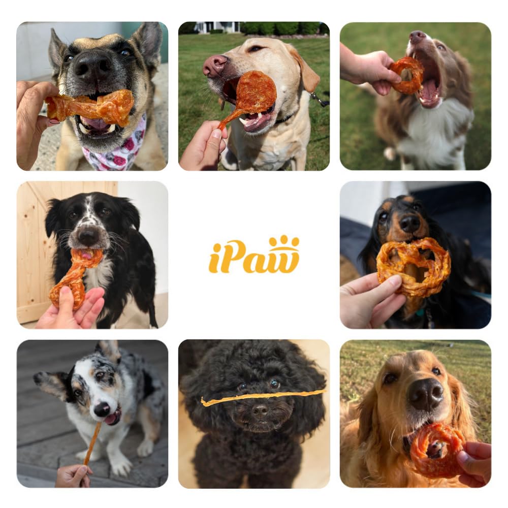 iPaw Turkey Tendon for Dogs Value Pack, All Natural Human Grade Puppy Chew