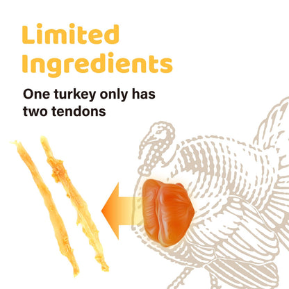 iPaw Turkey Tendon for Dogs Value Pack, All Natural Human Grade Puppy Chew