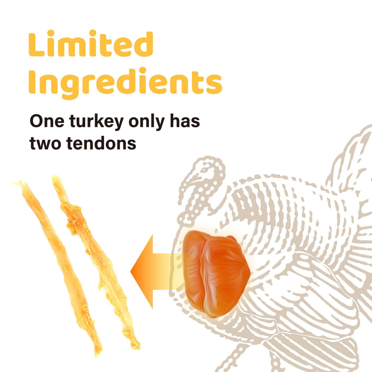 iPaw Turkey Tendon for Dogs Value Pack, All Natural Human Grade Puppy Chew