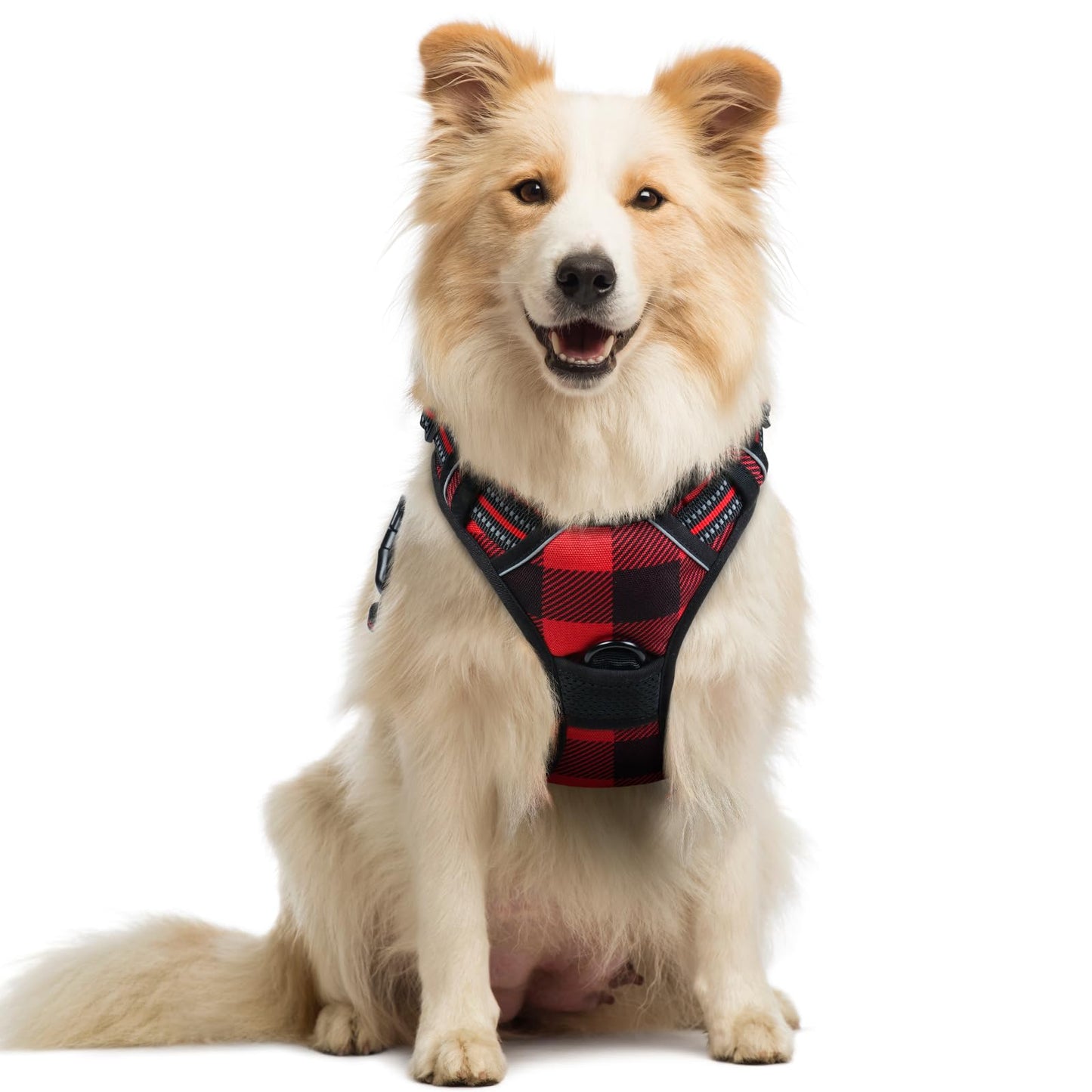 rabbitgoo Dog Harness, No Pull for Large Dogs with 2 Leash Clips, Pet Vest