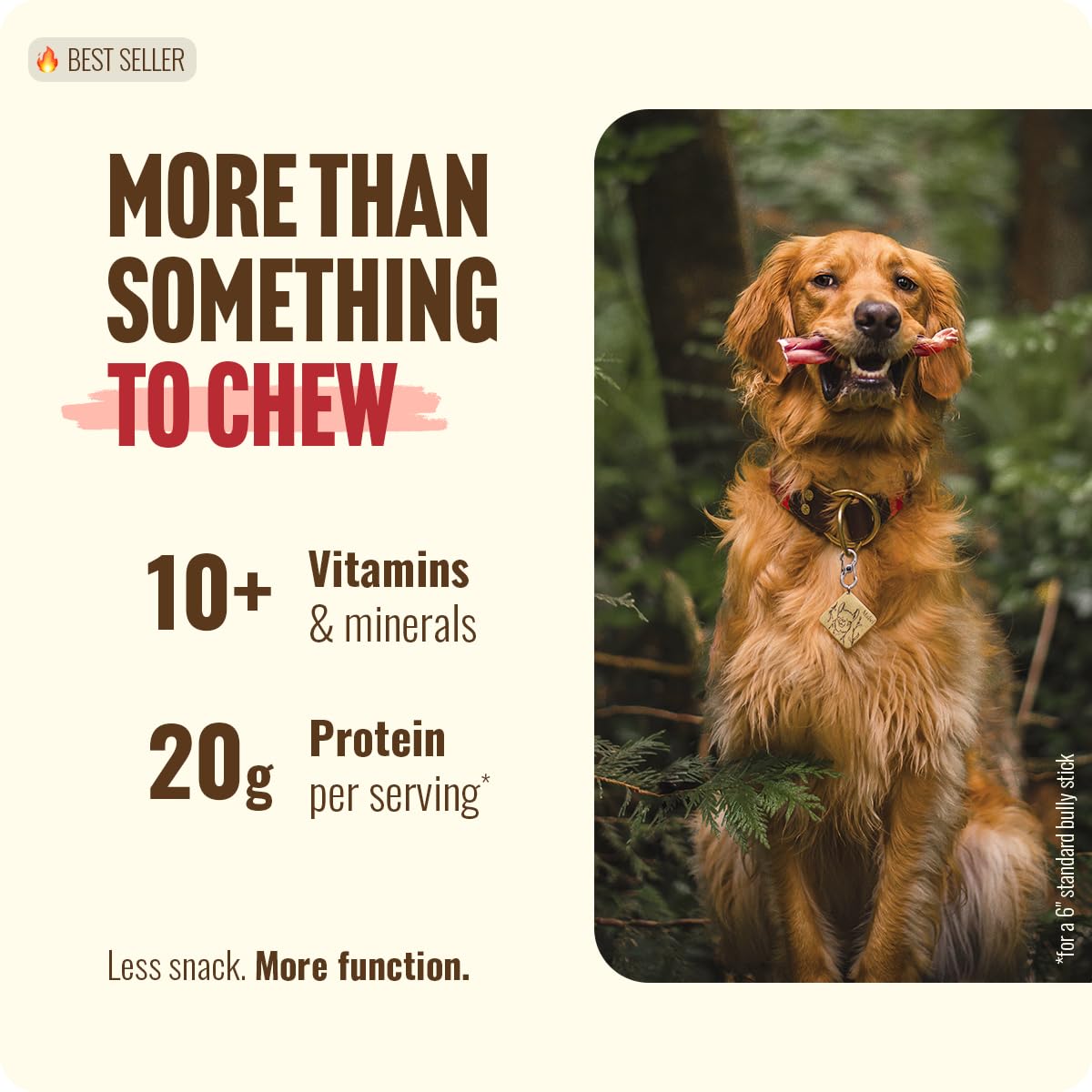 Natural Farm Bully Sticks, Odor-Free, (6 Inch, 12 Ounces), Packaged by Weight, 100% Beef Pizzle Chews, Grass-Fed, Fully Digestible Treats to Keep Your Puppies, Small and Medium Dogs Busy