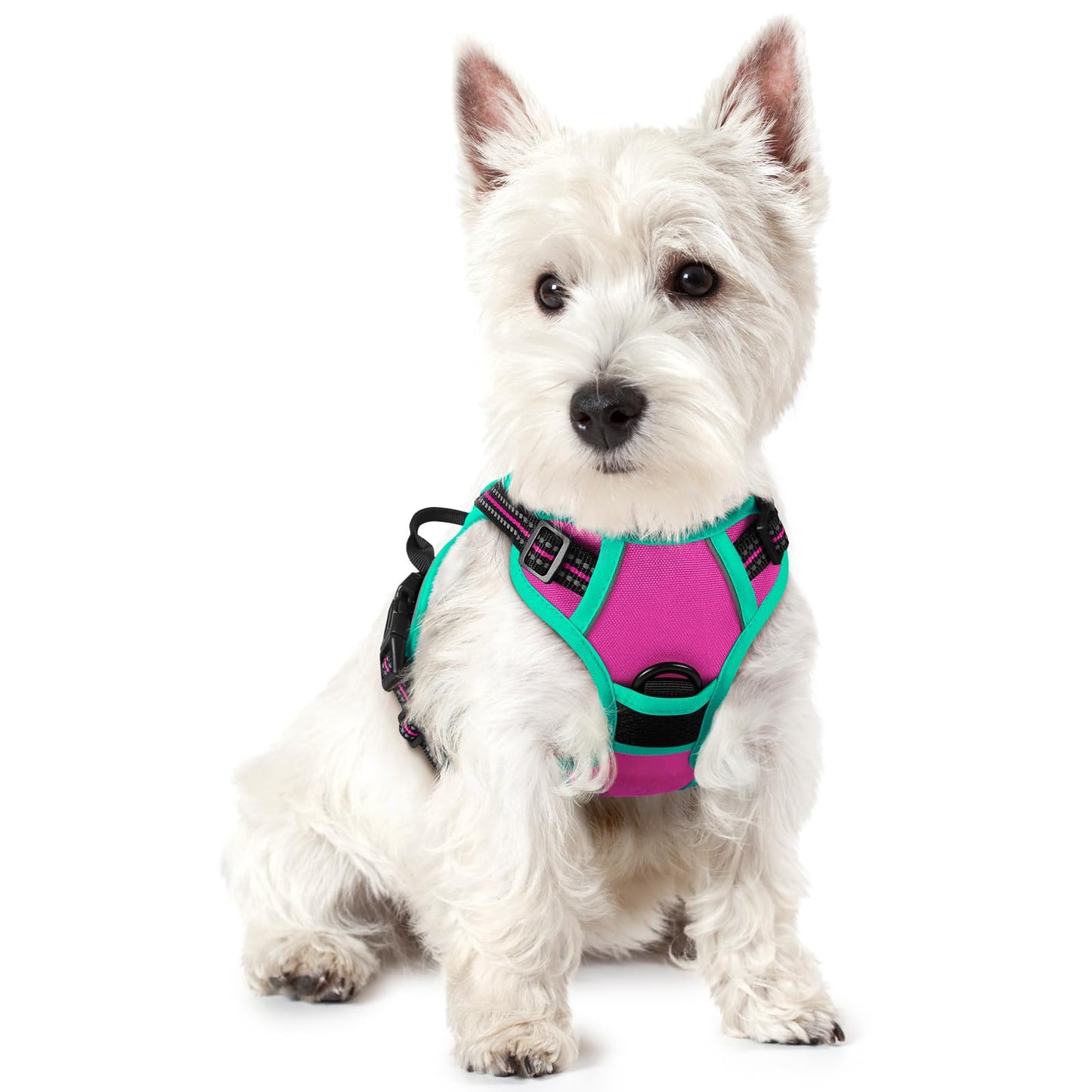 rabbitgoo Dog Harness, No Pull for Large Dogs with 2 Leash Clips, Pet Vest