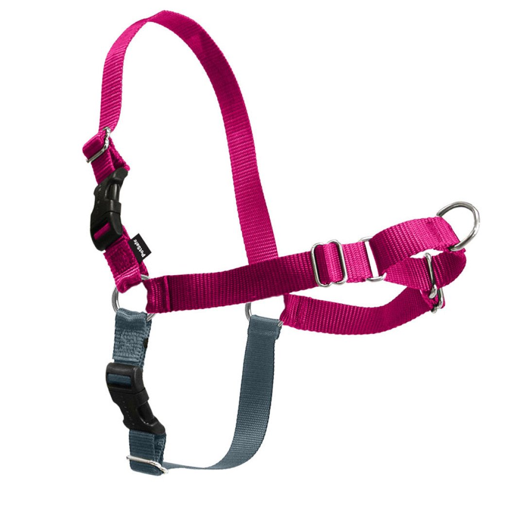 PetSafe Easy Walk Harness, No Pull Dog Harness, Raspberry, Medium/Large