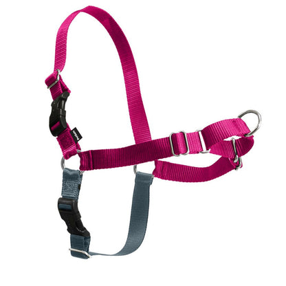 PetSafe Easy Walk Harness, No Pull Dog Harness, Raspberry, Medium/Large