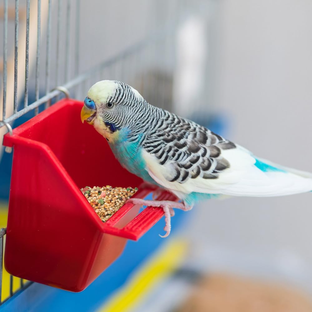 Wild Harvest Daily Blend Bird Food For Parakeet, Canary & Finch,10 lbs