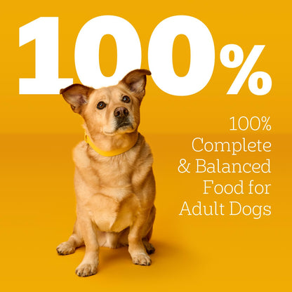 Pedigree Choice Cuts Wet Dog Food Pouch, Chicken Variety, 3.5 oz, 30 Count