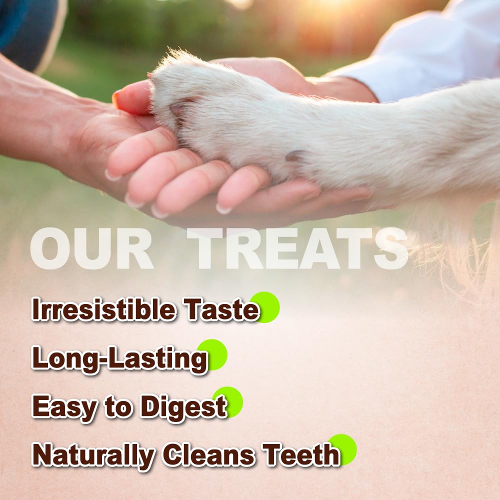 A Freschi srl® All-Natural Turkey Tendon for Dogs, Lollipop (S), 4 Count