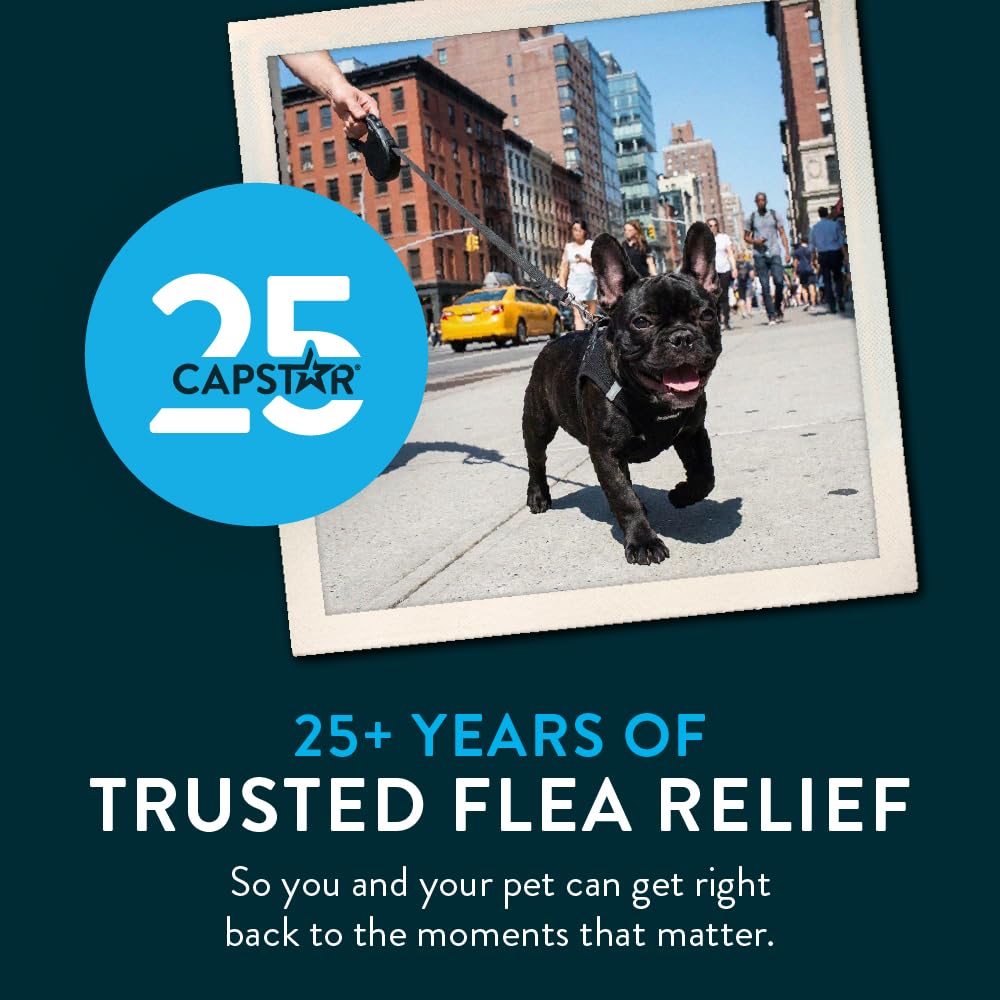 Capstar Oral Flea Tablets Dogs 25+ lbs, Nitenpyram, 6-Dose