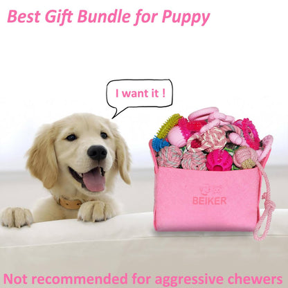 Beiker 20 Pack Puppy Chew Toys, Dog Teething Toys for Puppies Small Dogs