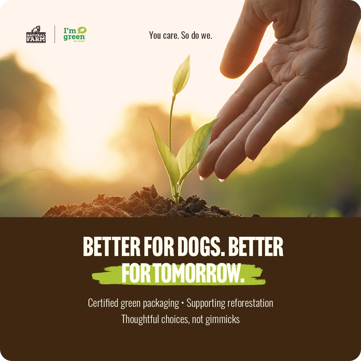 Natural Farm Bully Sticks, Odor-Free, (6 Inch, 12 Ounces), Packaged by Weight, 100% Beef Pizzle Chews, Grass-Fed, Fully Digestible Treats to Keep Your Puppies, Small and Medium Dogs Busy