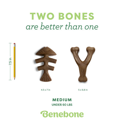 Benebone Medium 4-Pack Dog Toys for Aggressive Chewers – Under 60 lbs