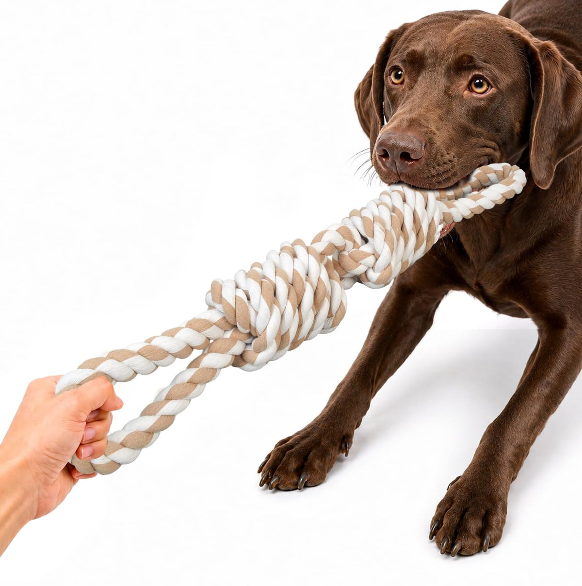 Fida Dog Rope Toys for Aggressive Chewers, Chew Toys for Large Medium Dogs